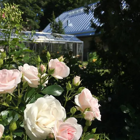Maison d'hôtes Harmoonikum 4*