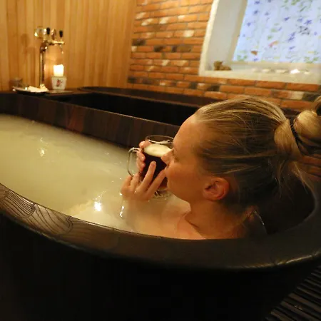 בית הארחה Harmoonikum וימסי