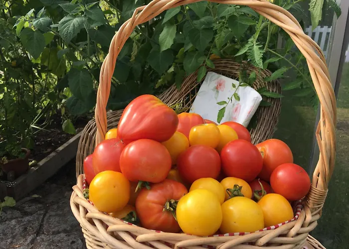 Guest house Harmoonikum 4*